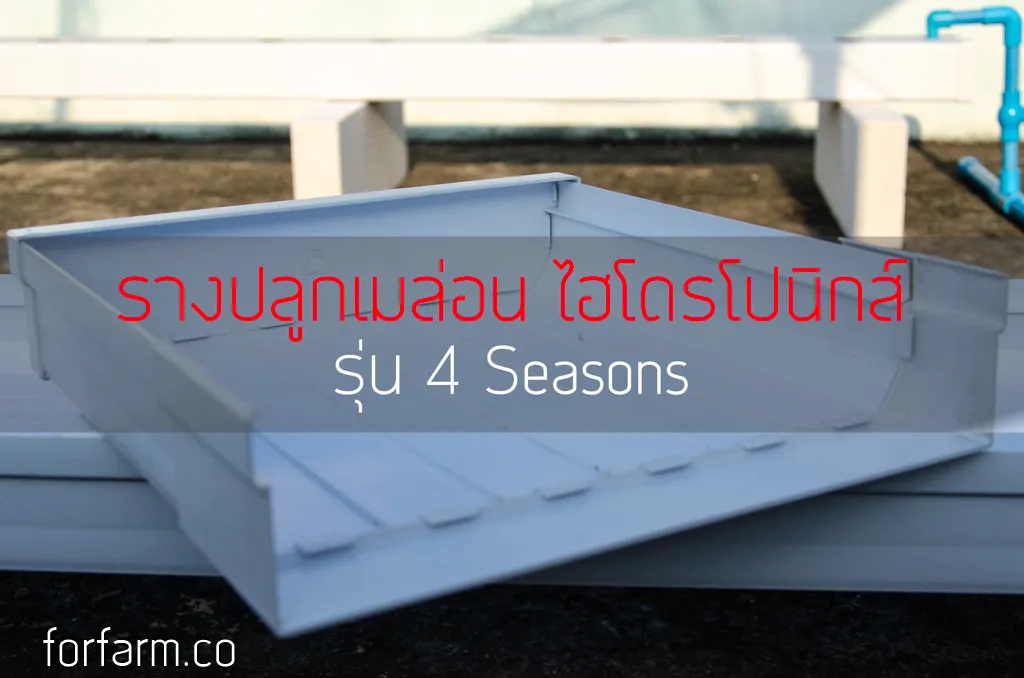 รางปลูกเมล่อนไฮโดรโปนิกส์ ระบบน้ำตื้น รุ่น 4 Seasons