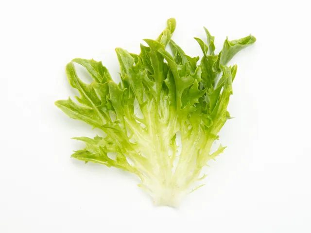 Eazyleaf Green