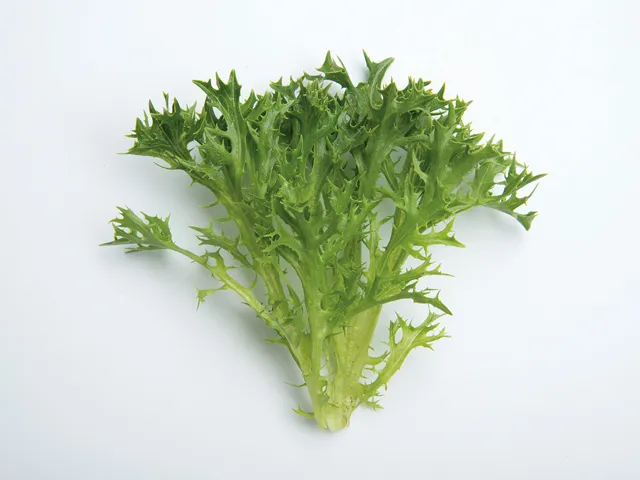 Eazyleaf Green