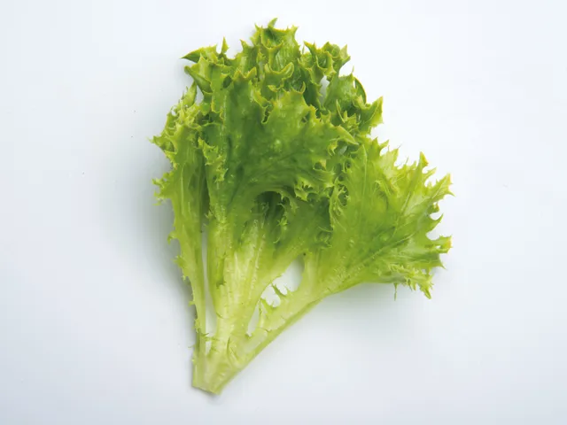 Eazyleaf Green