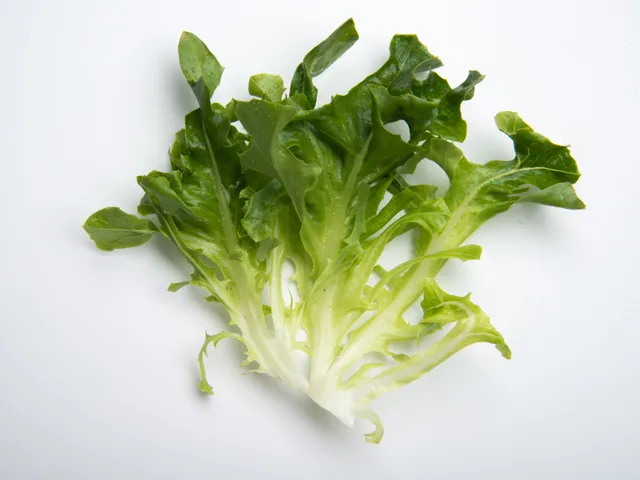 Eazyleaf Green
