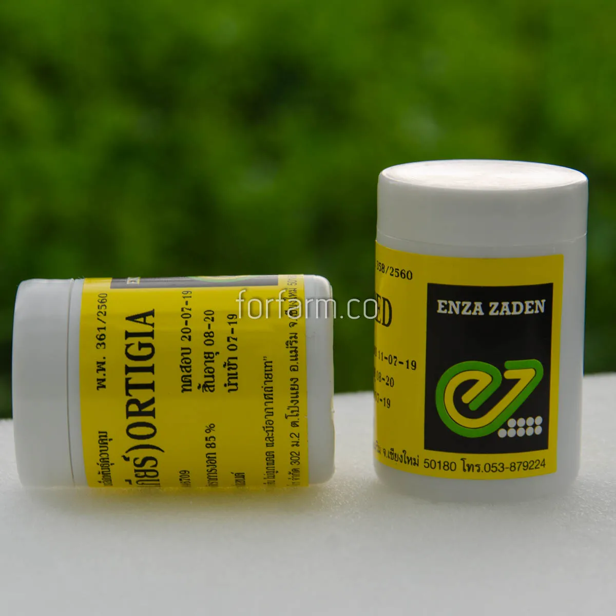 เมล็ดพันธุ์ผักสลัดกรีนคอส Ortigia ชนิดเคลือบ 1,000 เมล็ด