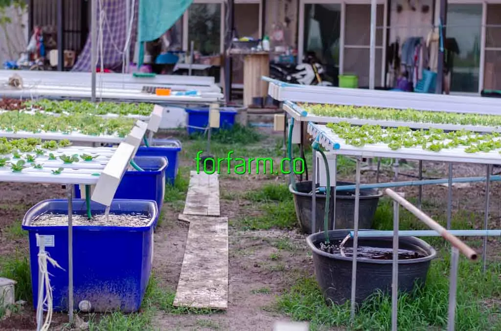ถังน้ำแยกแต่ละโต๊ะในฟาร์มผักไฮโดรโปนิกส์ระบบ NFT