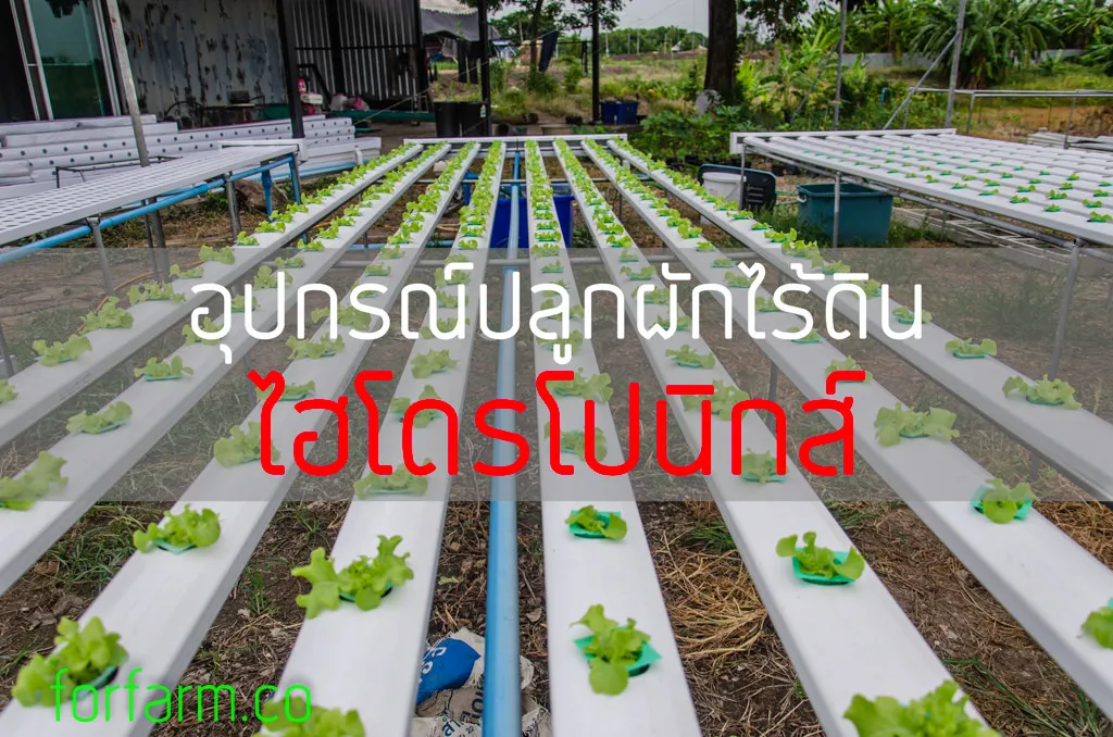 วิธีเลือกรางปลูกผักไฮโดรโปนิกส์ ราง NFT รางอนุบาล และรางระบบน้ำวน