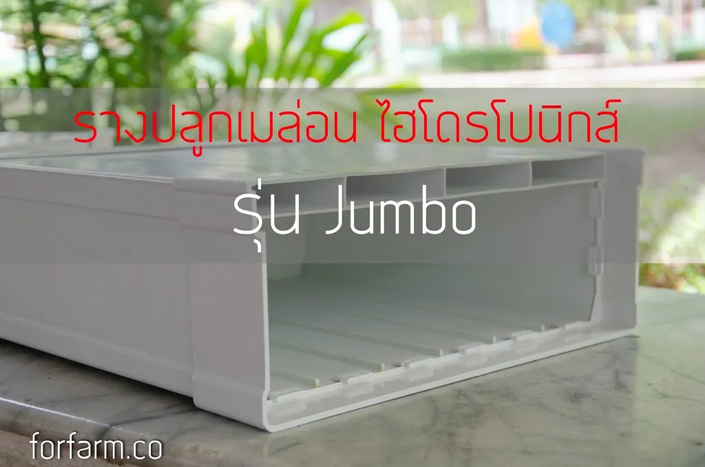 รางปลูกเมล่อน ระบบไฮโดรโปนิกส์ (Melon Hydroponics Gully)