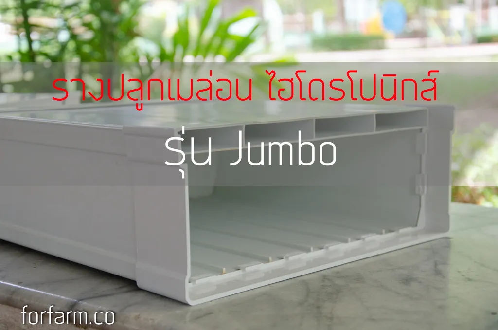 รางปลูกพืชไฮโดรโปนิกส์ ระบบน้ำวน รุ่น Jumbo