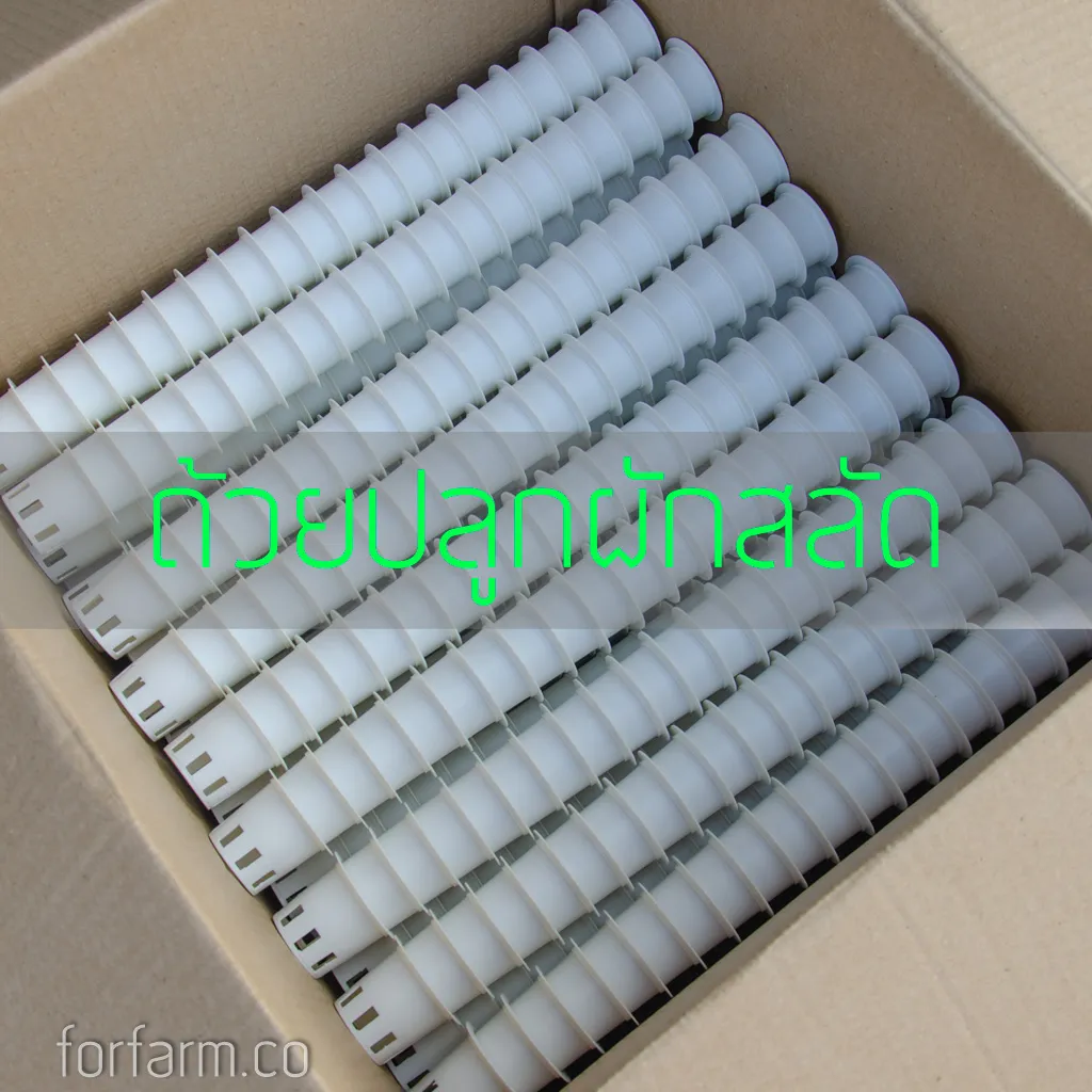 ถ้วยปลูกผักไฮโดรโปนิกส์สีขาว แพ็ก 1,000 ใบ