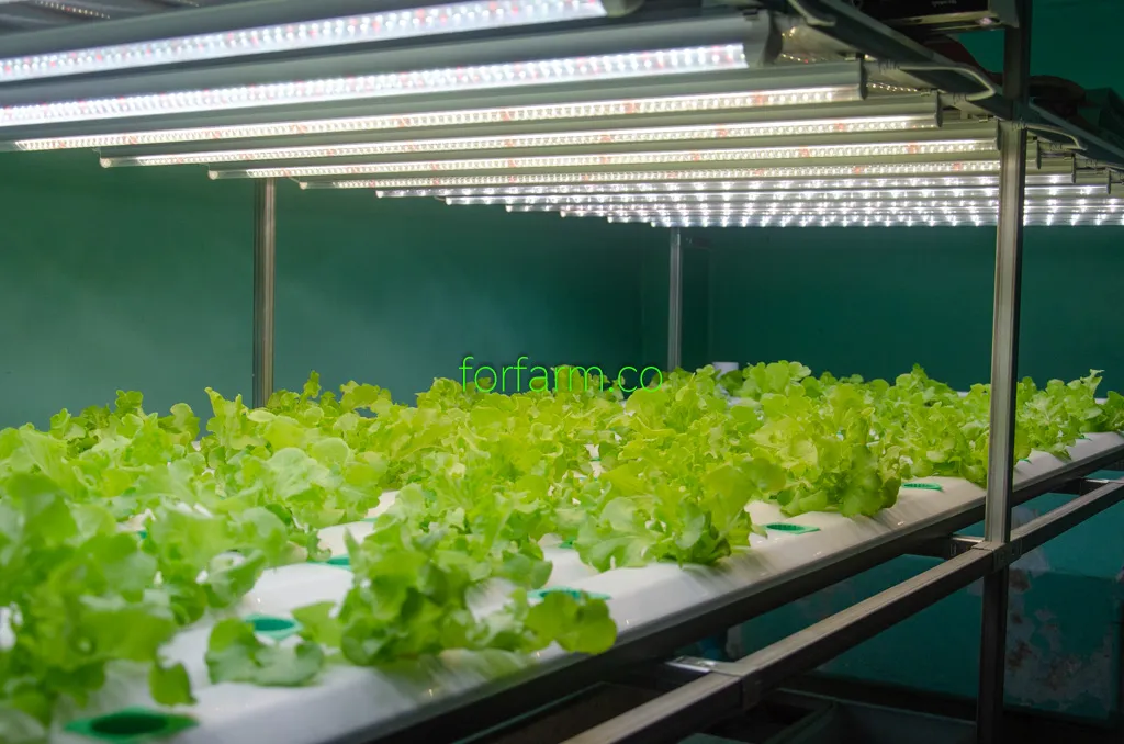 ระบบไฟปลูกพืชใน Plant Factory แบบแสงประดิษฐ์