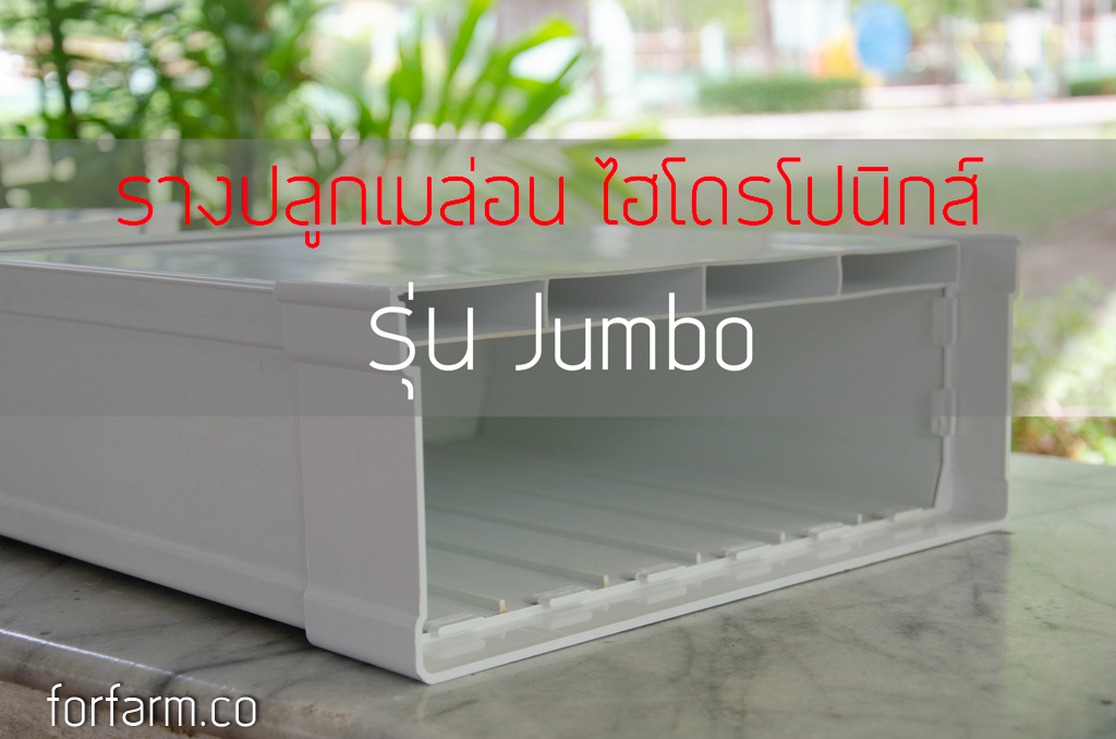 รางปลูกเมล่อน ระบบไฮโดรโปนิกส์ (Melon Hydroponics Gully)